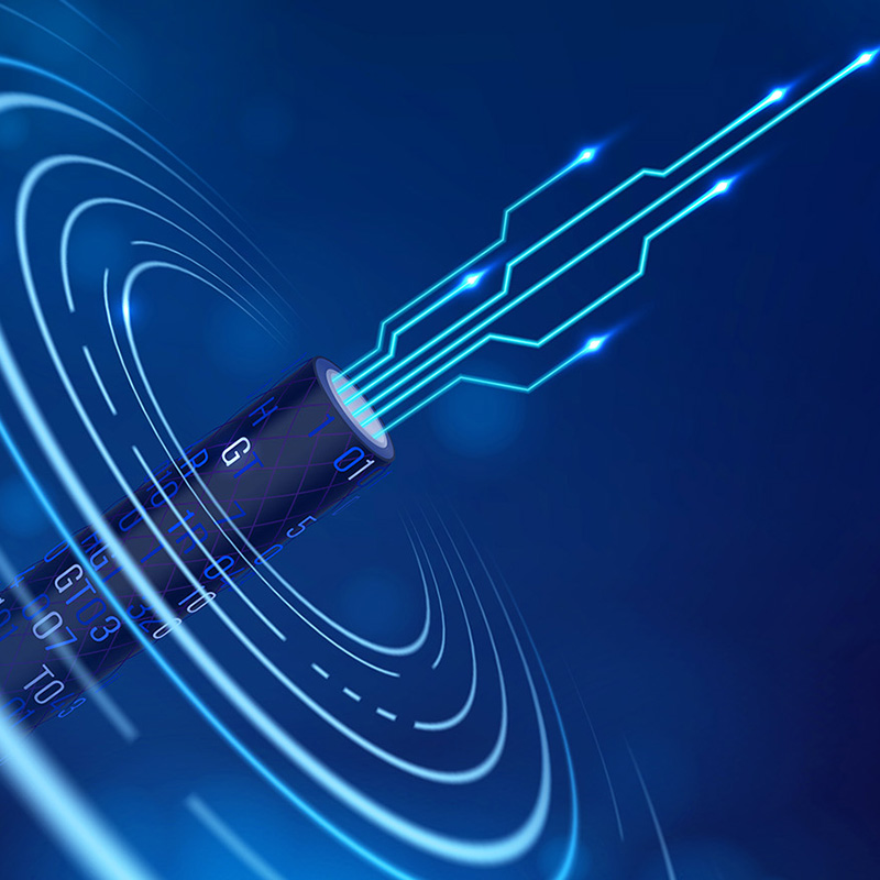 Lianou Electric Memamerkan Produk Inovatif di International Electrical Expo, Memimpin Tren Ramah Lingkungan